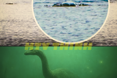 “Loch Ness Monster EXPOSED: The Truth That Will SHATTER Your Reality! 🐉” In a jaw-dropping revelation that has left the scientific community reeling, the legendary Loch Ness Monster has been confirmed as real! But hold onto your hats—this isn’t just a creature of myth; it’s a harbinger of chaos that could change everything we thought we knew about our world. As experts scramble to comprehend the implications, whispers of a dark conspiracy begin to surface, suggesting that the truth has been hidden for far too long. What else are they keeping from us? Prepare for the shocking fallout! 👇