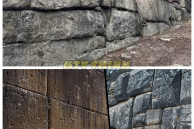 🙊 In a stunning twist, new evidence suggests that the builders of the prehistoric mega walls may have possessed advanced technology far ahead of their time! ⚙️🚀 What if these ancient architects were not primitive but rather pioneers of innovation? As experts investigate the implications of this groundbreaking theory, we are compelled to question: what knowledge have we lost over the millennia, and how could it reshape our understanding of progress? Join us as we delve into this captivating tale of discovery and rediscovery! 👇