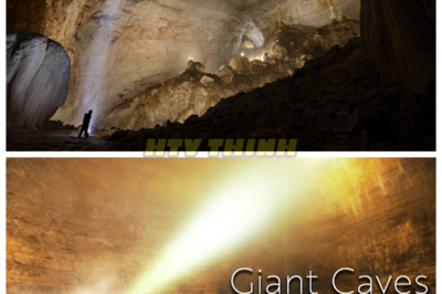 🙊 In a dramatic exploration of the Giant Caves of China, we confront the powerful forces of nature that have sculpted these magnificent underground landscapes! 🌪️🔦 What if these caves serve as a warning of the Earth’s dynamic nature and the potential for sudden change? As we navigate through these colossal formations, we are compelled to reflect: what do they reveal about the fragility of our environment, and how can we protect these natural wonders for years to come? Join us as we embark on this thrilling adventure into the heart of the Earth! 👇