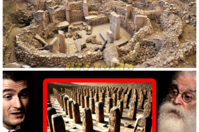 🙊 In a stunning revelation, researchers propose that Göbekli Tepe’s intricate carvings may represent a complex system of communication or storytelling, rather than mere decoration! 📖🗿  What if these symbols were a way for ancient peoples to convey their beliefs, history, or even warnings to future generations? As scholars unravel the meaning behind these enigmatic images, we must ask ourselves: what messages from the past are we still struggling to understand? Join us on this captivating journey through time as we decode the mysteries of Göbekli Tepe! 👇