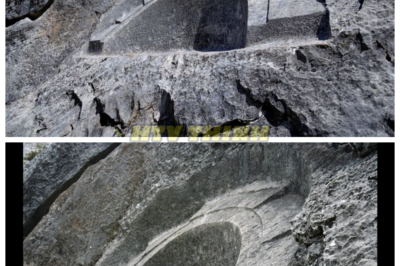 🙊 The discovery of the Quillarumiyoq has ignited a fierce debate among historians and archaeologists about the true purpose of this megalithic marvel! ⚖️🏞️  What if this site was a gathering place for rituals, a political center, or even a sanctuary for healing? As experts analyze the layout and features of Quillarumiyoq, we are compelled to ask: what can this ancient site teach us about the social structures and beliefs of its time? Dive into this compelling exploration of the past and its implications for our understanding of ancient societies! 👇