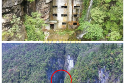 🙊 Archaeologists are left speechless after uncovering a hidden building inside a cave in Guizhou, raising questions about its origins and significance! 🏔️✨  But what if this ancient site is a testament to human resilience and creativity in the face of adversity? As experts analyze the structure’s design and function, we are compelled to ask: what other extraordinary feats of engineering have been lost to time, and how do they inform our understanding of human history? Join us as we unravel the mysteries of this remarkable discovery! 👇