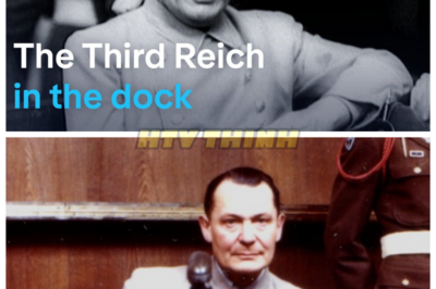 🙊 EXCLUSIVE: Inside the First Nuremberg Trial—Uncovering the Untold Stories of Justice! 🎤🕊️ Prepare for an exclusive look inside the first Nuremberg trial, where the quest for justice took center stage against a backdrop of global tension. What untold stories lie hidden within the courtroom walls? As we reveal the personal accounts of those involved—from the judges to the defendants—you’ll gain a deeper understanding of the human element behind the trial. Could these narratives change how we view the legacy of Nuremberg? What incredible stories will unfold as we explore this defining moment in history? 👇