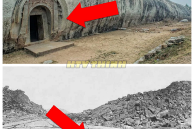 🙊 A shocking revelation emerges as we investigate five enigmatic doomsday bunkers from ancient times, each steeped in mystery and purpose! ⛏️🕰️  But what if these structures were not just survival shelters but symbols of a deeper societal fear? As archaeologists piece together their stories, we ponder: what lessons can we learn from these ancient preparations for disaster, and how do they resonate with our contemporary world? Prepare for an eye-opening exploration into the past! 👇