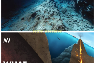 🙊 A monumental discovery in the Mariana Trench reveals geological formations that could provide crucial insights into climate change, stirring up a geopolitical storm! 🌎🌊  But what if this knowledge becomes a bargaining chip in global negotiations? As scientists and politicians alike grapple with the implications, we must consider: how will this find influence environmental policy and international agreements, and what new alliances might form in its wake? Join us as we navigate the turbulent waters of this transformative revelation! 👇