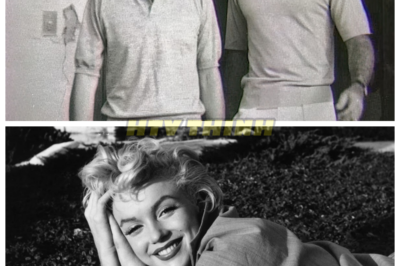 🙊 EXCLUSIVE: Counter-Investigation Into Marilyn’s Death—What the Authorities Didn’t Want You to Know! 📖🕊️ Get ready for an exclusive look at the counter-investigation into Marilyn’s death that reveals what the authorities didn’t want you to know! What if the circumstances surrounding her passing were manipulated to protect powerful figures? As new evidence surfaces, the implications for her legacy and the truth behind her life are staggering. Could this investigation finally expose the dark realities of Hollywood? What incredible stories will unfold as we delve into the mystery of Marilyn’s final days? 👇