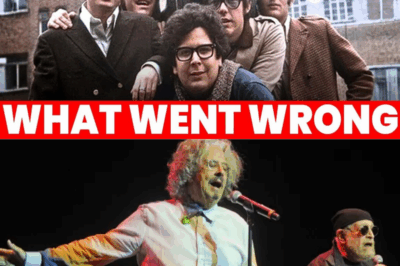 The Rise and Fall of The Turtles: From “Happy Together” at #1 to Lawsuits, Bitterness & Oldies