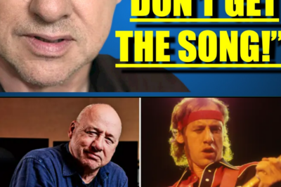 The WEIRD STORY of DIRE STRAITS MONEY FOR NOTHING