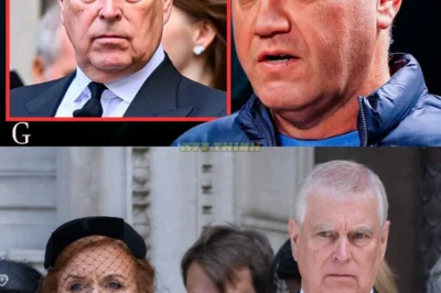 The Royal Staff HATE Prince Andrew’ — Paul Page Claims the Tension Inside the Palace Was UNBEARABLE