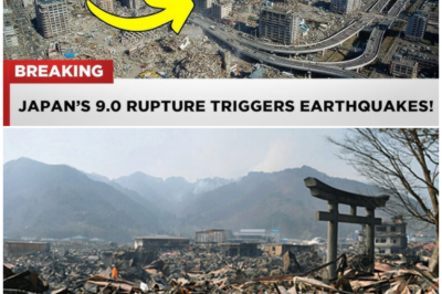 🦊 SEISMIC SECRETS EXPOSED? A Silent Chain Reaction Rips Across the Pacific Arc—And Authorities Aren’t Saying Everything 🌏🚨