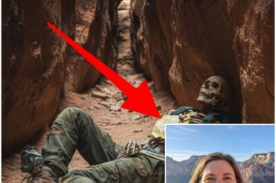 Hiker Vanished In Utah — Found 5 Years Later With Note Pinned To Her CHEST…..