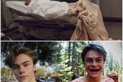 Teen Vanished In Yosemite: Found In A Tree After 3 Years. HE HAD NO TEETH AND WAS SMILING….