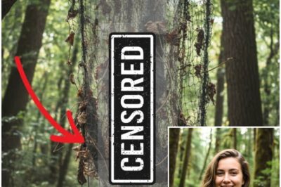 Hiker Vanished In Appalachian Trail — 7 months Later Found SUSPENDED From A TREE….