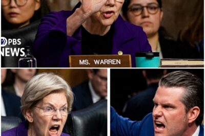 Elizabeth Warren DESTROYS Pete Hegseth and EXPOSES his depraved behavior towards women on live TV!