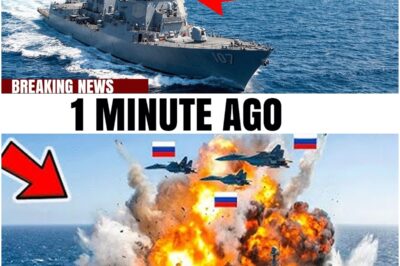 Russia Jet attacks U.S. Navy Warship IN THE STRAIT OF HORMUZ— Then THIS Happened