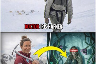 Climber Vanished On Mount Denali—4 Years Later Found In Hidden Valley With Plants Unknown To Science