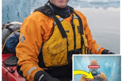Kayaker Vanished In Greenland, 6 Years Later Found Frozen with Journal Entries Dated 200 Years Prior
